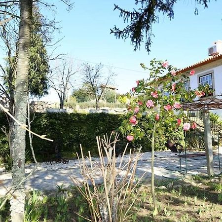 Quinta De Vila Verde- Paixao Ancestral, Turismo Rural Marco de Canavezes Exteriér fotografie
